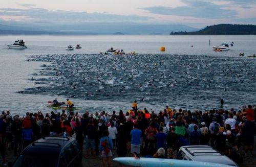 Participants during the swim in the Kellogg's Ironman New Zealand in 2010