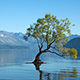 Lake Wanaka