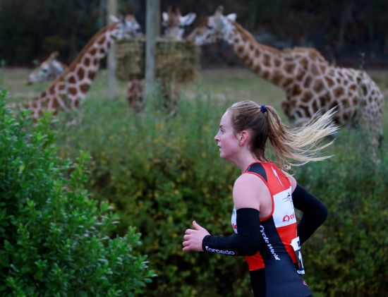 A competitor runs past the giraffes in the 2015 Christchurch Duo at Orana Park